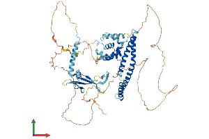 AlphaFold protein structure predicition of Human Recombinant ELL2 Protein, UniprotID O00472