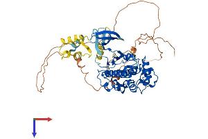 AlphaFold protein structure predicition of Mouse Recombinant Cdk17 Protein, UniprotID Q8K0D0