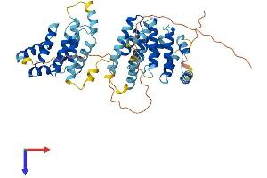 AlphaFold protein structure predicition of Human Recombinant MROH8 Protein, UniprotID Q9H579