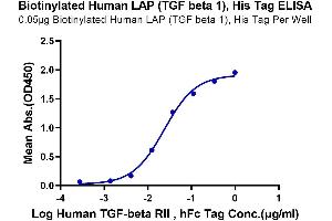 Immobilized Biotinylated Human LAP (TGF beta 1), His Tag at 0.