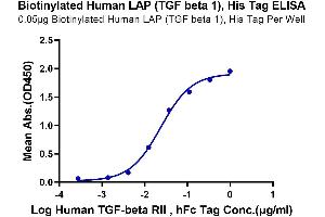 Immobilized Biotinylated Human LAP (TGF beta 1), His Tag at 0. (TGFB1 Protein (AA 30-278) (His-Avi Tag,Biotin))
