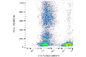 Surface staining of human buffy coat cells with anti-CD3 (TB3) purified / GAM-APC.