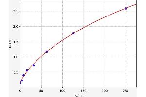 Typical standard curve (NRIP1 Kit ELISA)