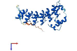 AlphaFold protein structure predicition of Human Recombinant ASB9 Protein, UniprotID Q96DX5