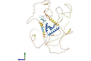AlphaFold protein structure predicition of Human Recombinant TCF7L2 Protein, UniprotID Q9NQB0
