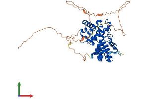 AlphaFold protein structure predicition of Mouse Recombinant Ccna1 Protein, UniprotID Q61456