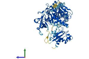 AlphaFold protein structure predicition of Mouse Recombinant Acsl5 Protein, UniprotID Q8JZR0