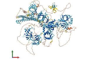 AlphaFold protein structure predicition of Human Recombinant RNF17 Protein, UniprotID Q9BXT8