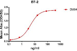 ELISA plate pre-coated by 2 μg/mL (100 μL/well) Human B7-2 protein, mFc-His tagged protein ABIN6961107, ABIN7042243 and ABIN7042244 can bind Rabbit anti-B7-2 monoclonal antibody  (clone: DM84) in a linear range of 1-100 ng/mL.