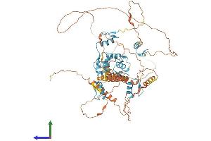 AlphaFold protein structure predicition of Human Recombinant PATZ1 Protein, UniprotID Q9HBE1