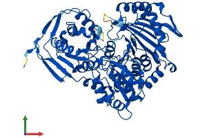 AlphaFold protein structure predicition of Human Recombinant PGM5 Protein, UniprotID Q15124