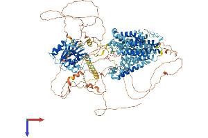 AlphaFold protein structure predicition of Mouse Recombinant Slc4a3 Protein, UniprotID P16283
