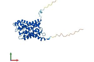 AlphaFold protein structure predicition of Human Recombinant AQP9 Protein, UniprotID O43315