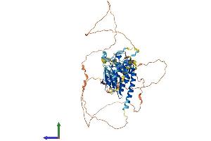 AlphaFold protein structure predicition of Human Recombinant TESK2 Protein, UniprotID Q96S53