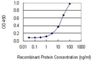 Detection limit for recombinant GST tagged CSAD is 0.