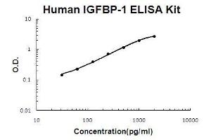 Human IGFBP-1 PicoKine ELISA Kit standard curve