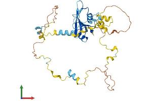 AlphaFold protein structure predicition of Human Recombinant SHD Protein, UniprotID Q96IW2