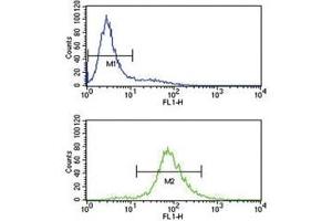 BCL6 antibody flow cytometry analysis of Jurkat cells (bottom histogram) compared to a negative control (top histogram).