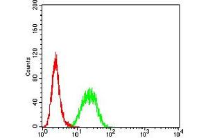 Flow cytometric analysis of Hela cells using BCL2L10 mouse mAb (green) and negative control (red). (BCL2L10 anticorps  (AA 31-186))