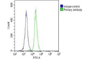 anti-Lipoprotein-Associated phospholipase A2 (Lp-PLA2) (AA 200-228) antibody
