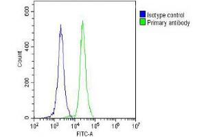Overlay histogram showing HL-60 cells stained with C (green line).