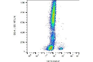 Flow cytometry analysis (surface staining) of human peripheral blood cells with anti-human CD19 (LT19) PerCP. (CD19 anticorps  (PerCP))