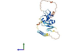AlphaFold protein structure predicition of Human Recombinant KLRC3 Protein, UniprotID Q07444