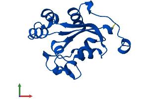 AlphaFold protein structure predicition of Mouse Recombinant Nme2 Protein, UniprotID Q01768