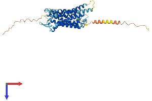 AlphaFold protein structure predicition of Mouse Recombinant Tacr2 Protein, UniprotID P30549
