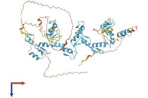 AlphaFold protein structure predicition of Human Recombinant ZFP64 Protein, UniprotID Q9NTW7