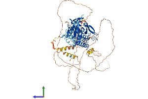 AlphaFold protein structure predicition of Human Recombinant RAP1GAP2 Protein, UniprotID Q684P5