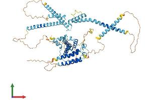 AlphaFold protein structure predicition of Mouse Recombinant Rundc1 Protein, UniprotID Q0VDN7