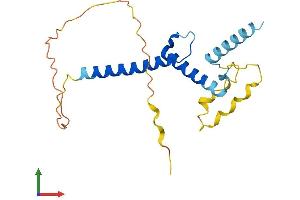 AlphaFold protein structure predicition of Human Recombinant SCX Protein, UniprotID Q7RTU7