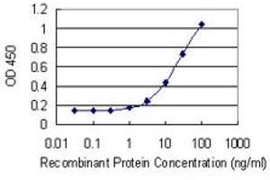 Detection limit for recombinant GST tagged KLK2 is 0.