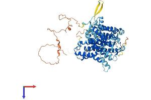 AlphaFold protein structure predicition of Human Recombinant SLC23A2 Protein, UniprotID Q9UGH3