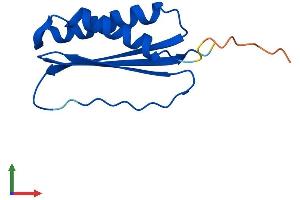 AlphaFold protein structure predicition of Human Recombinant DYNLT3 Protein, UniprotID P51808