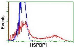 HEK293T cells transfected with either RC201814 overexpress plasmid (Red) or empty vector control plasmid (Blue) were immunostained by anti-HSPBP1 antibody (ABIN2454980), and then analyzed by flow cytometry. (HSPBP1 anticorps)