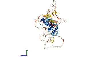 AlphaFold protein structure predicition of Human Recombinant NR0B1 Protein, UniprotID P51843