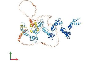 AlphaFold protein structure predicition of Human Recombinant ZNF530 Protein, UniprotID Q6P9A1