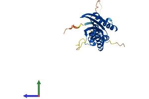 AlphaFold protein structure predicition of Mouse Recombinant Irak1bp1 Protein, UniprotID Q9ESJ7