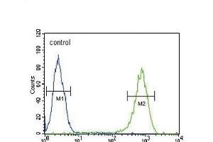 SFN Antibody (C-term)  flow cytometric analysis of Hela cells (right histogram) compared to a negative control cell (left histogram).