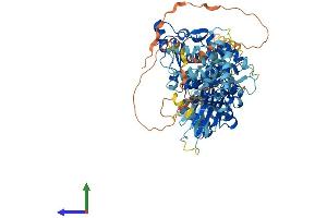 AlphaFold protein structure predicition of Mouse Recombinant Capn3 Protein, UniprotID Q64691