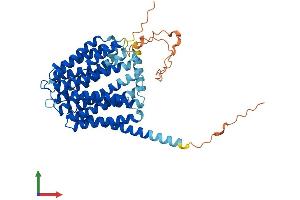 AlphaFold protein structure predicition of Mouse Recombinant Slc19a3 Protein, UniprotID Q99PL8