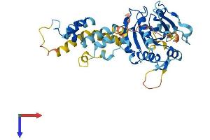 AlphaFold protein structure predicition of Human Recombinant FBXO4 Protein, UniprotID Q9UKT5