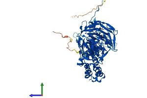 AlphaFold protein structure predicition of Human Recombinant KLHL9 Protein, UniprotID Q9P2J3