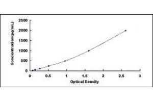 ELISA image for Interleukin 1 Receptor Antagonist (IL1RN) ELISA Kit (ABIN416189)
