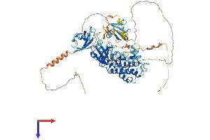 AlphaFold protein structure predicition of Human Recombinant DCLK1 Protein, UniprotID O15075