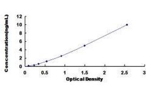 Myotubularin Related Protein 9 (MTMR9) ELISA Kit