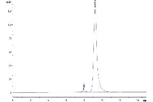 The purity of Cynomolgus/Rhesus macaque FOLR1 is greater than 95 % as determined by SEC-HPLC.