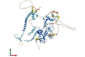 AlphaFold protein structure predicition of Human Recombinant EZH1 Protein, UniprotID Q92800